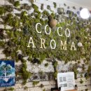 나만의 아로마 향기를 찾자 이미지