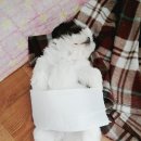 해담동물의료센터 이미지