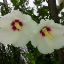 위형수농장 이미지