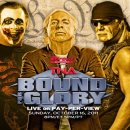 TNA BOUND FOR GLORY 2011 승자맞추기 (9경기 확정) 이미지