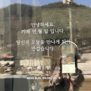 쌍용자동차 평창서비스프라자 이미지