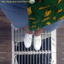 버스정류장 07-101 이미지