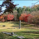 곤지암도자공원 이미지