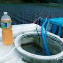 희석목장 이미지