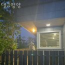 댕큐양양 | 양양숙소 댕큐양양 강원도여행 양양서핑 체험도 할 수 있는 숙소