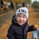 지훈농장 이미지