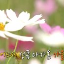 덤프PC방 | 어머 이게 진짜 나...? 찐 내돈내산 프로필 촬영 후기 I 양재역 양시숲 스튜디오 추천 프로필 촬영