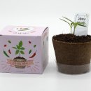 팜팜농장 이미지