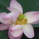 종점농장 이미지