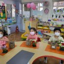 쌍림초교병설유치원 이미지