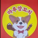 마루 죽도양꼬치