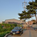 센츄럴관광호텔 이미지