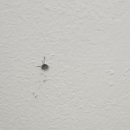 하안3동 주민센터 이미지