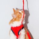 선닥터동물병원 이미지