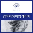 오류동물병원 이미지