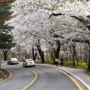 우암산순환로 이미지