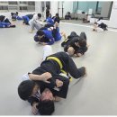 화랑합기도&부여주짓수 이미지