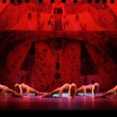 밸리댄스 정기공연 이미지