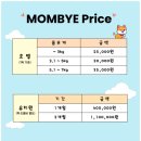 일산애견호텔 강아지 유치원 미용 맘바이 일산점 이미지