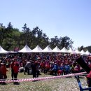 약산면-4 이미지