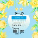 댄디바이크 이미지