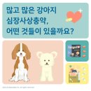 파스텔동물병원 이미지