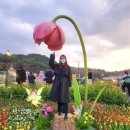 튤립게임랜드 이미지