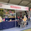 백연골발효차 이미지