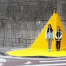 옐로카펫 이미지