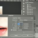 이종열차이나 이미지