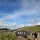향토할인마트 | [제주축제후기] 2025 제주 도새기축제 - 새별오름 돼지고기 할인