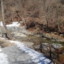 서운산 자연휴양림 자동차야영장 이미지