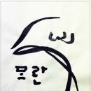 금산-68 이미지