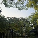 성복사