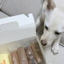 창대주유소 네이버블로그