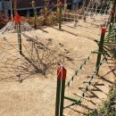 죽변초등학교 이미지