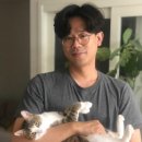 on동물병원 이미지