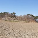 사성1리 이미지