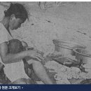 추억집