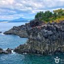 강정동-67 이미지