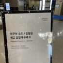 휘닉스 블루캐니언사우나 | 휘닉스파크 블루캐니언 후기 | 아이들과 가기 좋은 평창 워터파크