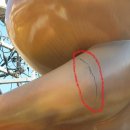 마산아구찜거리 이미지