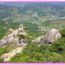 황포돗대 주변 이미지