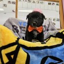 안골로108번길 이미지