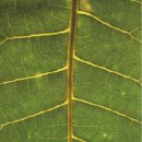 인창한의원 이미지