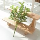 녹색플라워 이미지