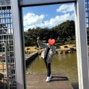 신세계길벗고속관광 | 짐캐리 숙소에서 숙소로 뚜벅이에게 편리한 짐배송 이용 후기