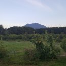 설봉농장 이미지