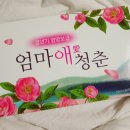 춘식품 네이버블로그