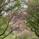팔공구 | 대구 골프장 '팔공cc' 라운딩 후기│그린피, 날씨